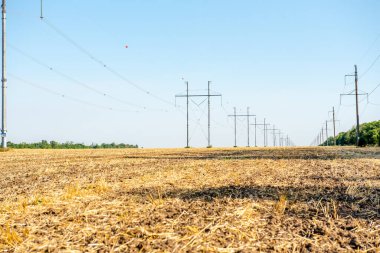 Buğday tarlası sürdüm. Tarlalarda saman. Mavi gökyüzü arka planlı kırsal alan. Altın buğday hasadı