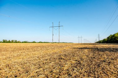 Buğday tarlası sürdüm. Tarlalarda saman. Mavi gökyüzü arka planlı kırsal alan. Altın buğday hasadı
