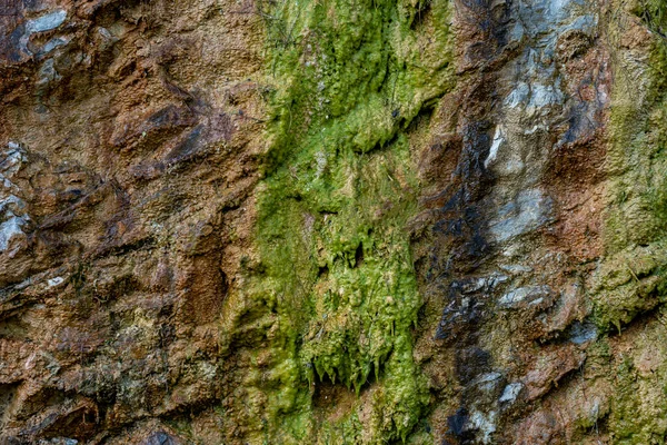 Textur Der Steinoberfläche Hintergrund — Stockfoto