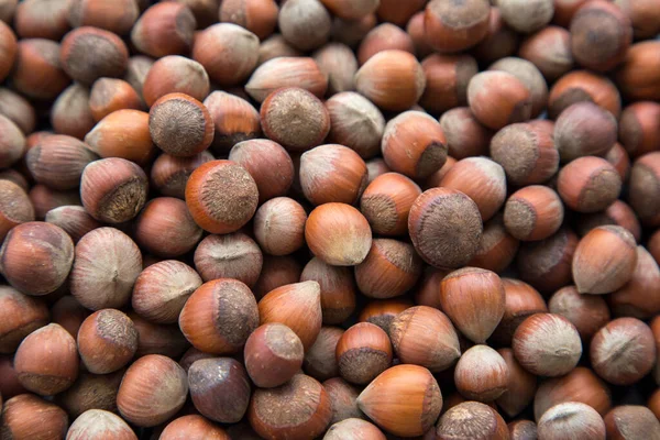 Hazelnut Texture Background Ripe Nuts — Stock Photo, Image