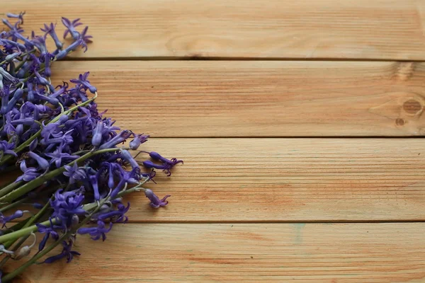 Flores moradas sobre fondo de madera — Foto de Stock