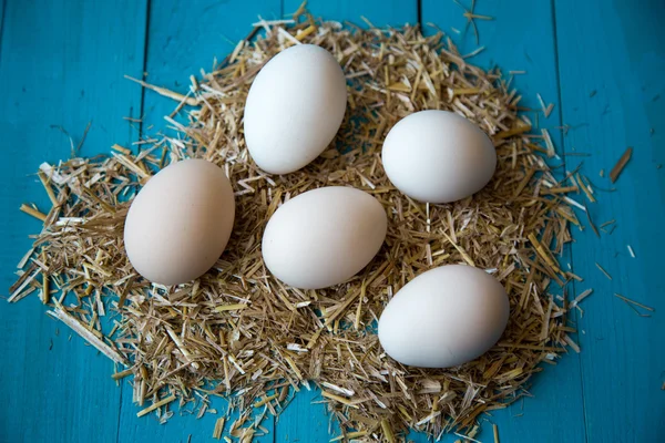 Farm eggs — Stock Photo, Image