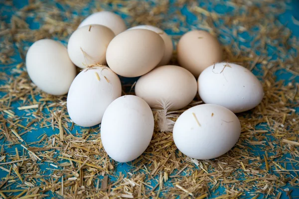 Organic eggs — Stock Photo, Image