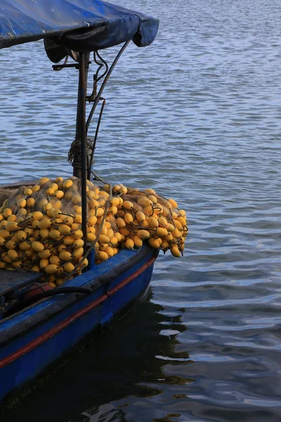 Barca da pesca — Foto Stock