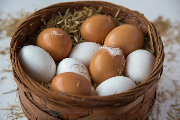 Chicken eggs — Stock Photo, Image