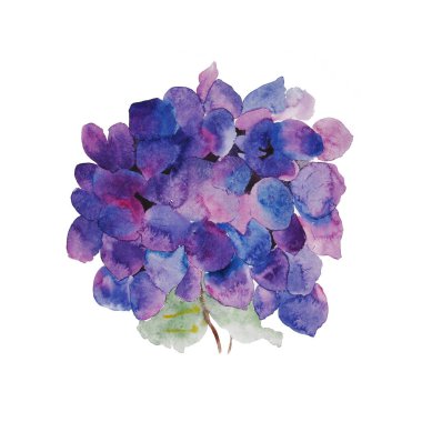 Beyaz bir arkaplanda ortanca resminin soyut suluboya çizimi. Güzel boya izleri. Çizim elle yapılmış..