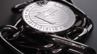 Litecoin madeni parasının makro çekimi. Ethereum Crypto para birimi.