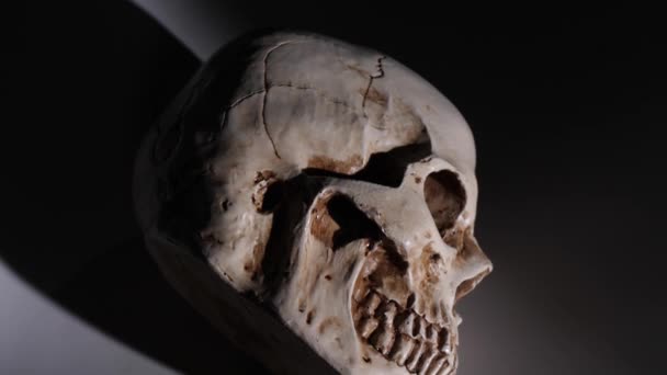 人間の頭蓋骨を分析して — ストック動画