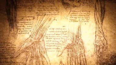 Kandy, Sri Lanka - 17 Şubat 2021: Kandy Tıp Sergisi 'nde Leonardo Da Vinci' nin 4. yüzyıl anatomi sanatı