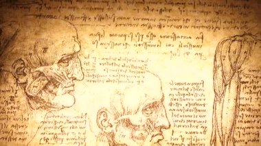 Kandy, Sri Lanka - 17 Şubat 2021: Kandy Tıp Sergisi 'nde Leonardo Da Vinci' nin 4. yüzyıl anatomi sanatı