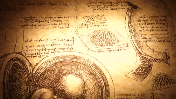 Kandy Srí Lanka Února 2021 Anatomické Umění Století Leonarda Vinciho — Stock video