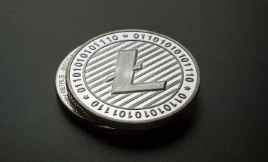Litecoin madeni parasının makro atışı Şifreleme paraları