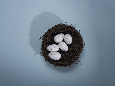 Kuş yuvasının yakınına iki yumurta koyun.