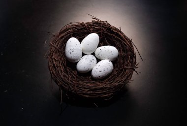 Kuş yuvasının yakınına iki yumurta koyun.