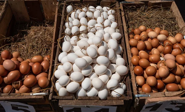 Close up of fresh Chicken eggs for in market