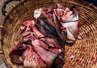 Sri Lanka 'da balık yakın.