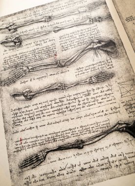 Kandy, Sri Lanka - 17 Şubat 2021: Kandy Tıp Sergisi 'nde Leonardo Da Vinci' nin 14. yüzyıl anatomisi