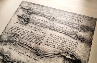 Kandy, Sri Lanka - 17 Şubat 2021: Kandy Tıp Sergisi 'nde Leonardo Da Vinci' nin 14. yüzyıl anatomisi