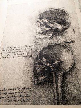 Kandy, Sri Lanka - 17 Şubat 2021: Kandy Tıp Sergisi 'nde Leonardo Da Vinci' nin 14. yüzyıl anatomisi