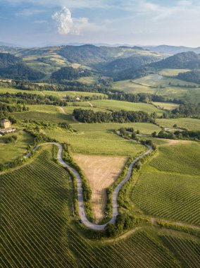 Oltrepo Pavese 'deki üzüm bağları tepeleri ve ormanlık arazi manzaralı yol kıvrımlı
