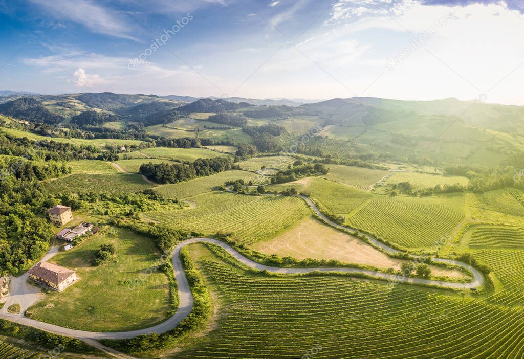 Aerial view of countryside with vineyards hills and woods in Oltrepo Pavese with road bends