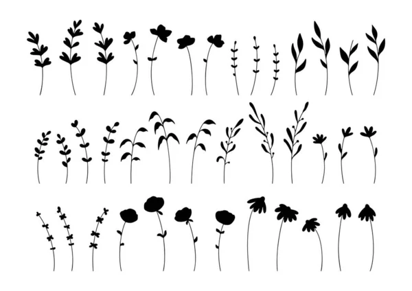 Handgetekende Vectorverzameling Van Botanische Silhouetten Geïsoleerd Witte Achtergrond Vector Bloemen — Stockvector