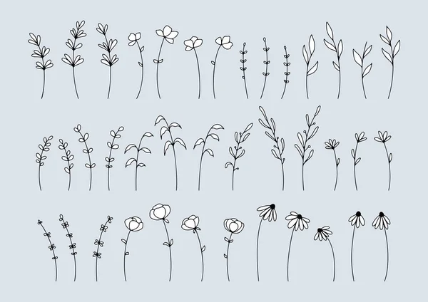 Elementos Botánicos Línea Dibujada Mano Con Relleno Blanco Aislado Sobre — Archivo Imágenes Vectoriales