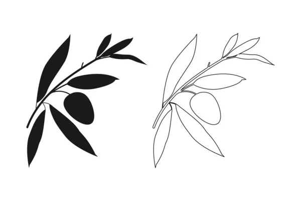 Conjunto de iconos de rama de oliva. Diseño plano negro, hojas de contorno. ilustración natural dibujado a mano. Vector — Archivo Imágenes Vectoriales
