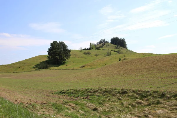 Kırsal Tepe Manzarası Suwalki Bölgesi Nin Manzarası Yeşil Çayırlar Tepeler — Stok fotoğraf
