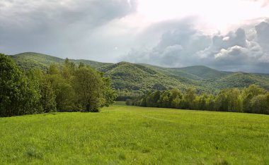 Baharda Bieszczady 'de. Yeşil Bieszczady manzarası. Sulu yeşil çayırlar ve ağaçlar. Polonya