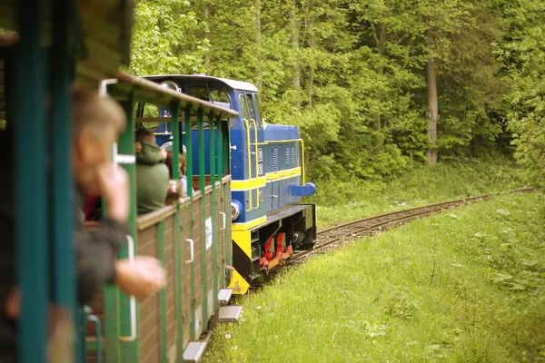 比斯扎迪森林铁路 一张火车头在森林里拉货车的照片 比斯扎迪山脉的旅游景点 — 图库照片