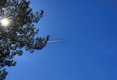 Uçak mavi gökyüzünde uçuyor. Beyaz bir iz bırakıyor. Güneş ağacın dallarında parlıyor.