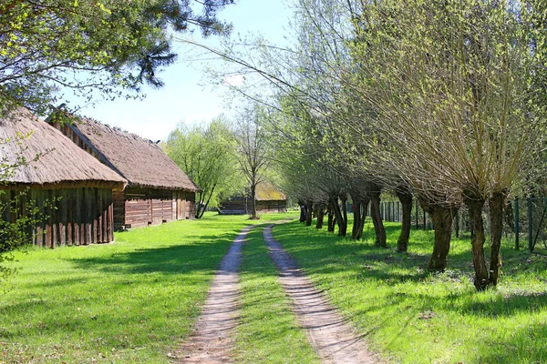 木や古い木造農場の建物の間の田舎道 春のポドラシー村 — ストック写真