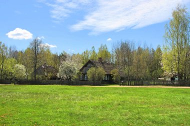 Kırsal alan. Podlasie 'de sazdan çatıları olan eski ahşap kırsal evler, Bialystok köyü müzesinde. 