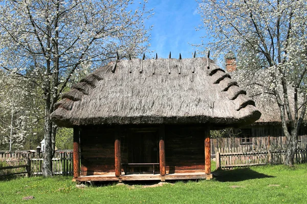 古い木製の国は わらで覆われた小屋 周りに木が咲いています 緑の草 Bialystok村博物館でPodlasieに小屋村 — ストック写真