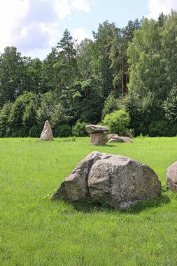Megalith parkında büyük düzensiz kayalar var. Büyük taşlar yeşil çimlerin üzerinde yatıyor. Etrafta yeşil ağaçlar var. Silvarium, Poczopek 'te bir orman parkı, Krinki Ormanı Bölgesi. Podlasie.