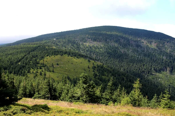 Karkonosze Latem Widok Góry Pokryte Zielonymi Drzewami Gęste Chmury Nad — Zdjęcie stockowe
