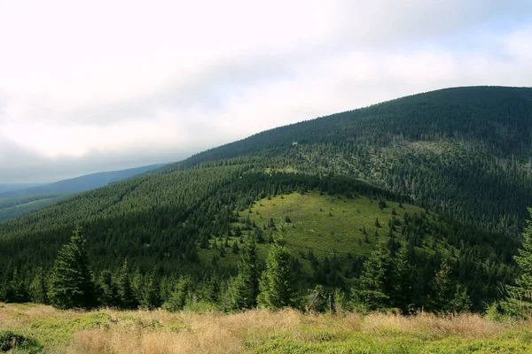 Karkonosze Summer View Mountains Covered Green Trees Thick Clouds Mountains — Stock Photo, Image