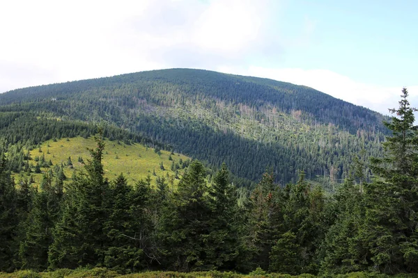 Karkonosze Sommaren Utsikt Över Bergen Täckt Med Gröna Träd Tjocka — Stockfoto