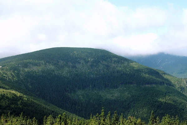 Karkonosze Latem Widok Góry Pokryte Zielonymi Drzewami Gęste Chmury Nad — Zdjęcie stockowe