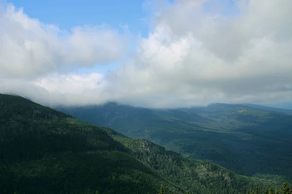 Karkonosze Summer View Mountains Covered Green Trees Thick Clouds Mountains — Stock Photo, Image