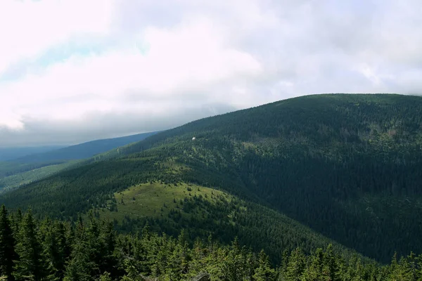 Riesengebirge Sommer Sicht Auf Die Berge Mit Grünen Bäumen Dicke — Stockfoto