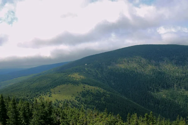 Karkonosze Zomer Uitzicht Bergen Bedekt Met Groene Bomen Dikke Wolken — Stockfoto
