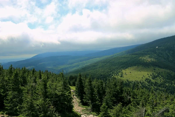 Panorama Karkonoszy Widok Góry Pokryte Zielonymi Iglastymi Ścieżka Zjazdowa Wśród — Zdjęcie stockowe