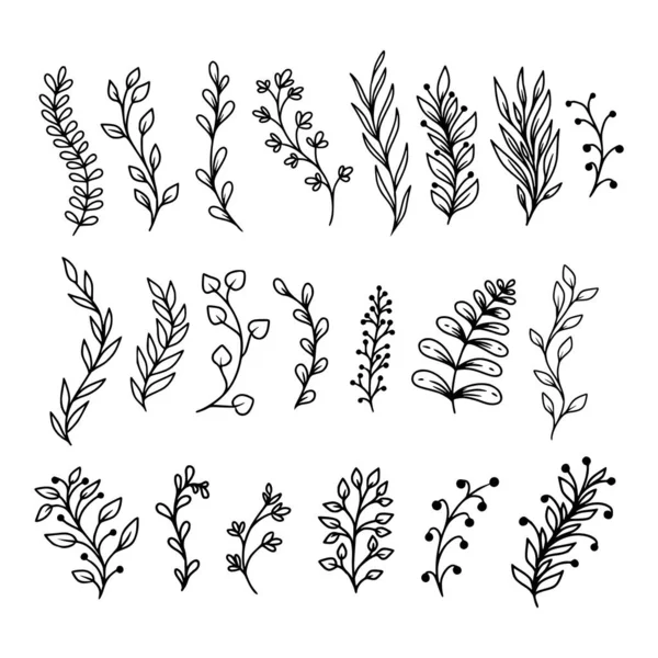 Set Hand-Drawn Sketchy Doodles of Leaves, Plants, and Flowers Vector — Stock Vector