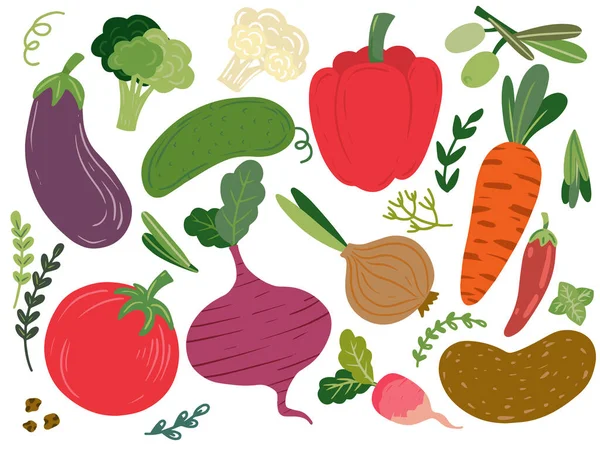 Collection de légumes dessinés à la main. Illustration vectorielle — Image vectorielle