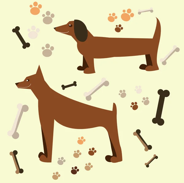 Diseño plano del perro. Doberman y dachshund — Vector de stock