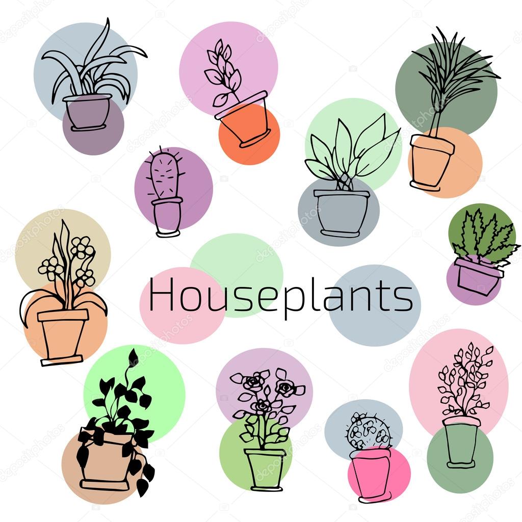 Vector design set of house plants in colorful circles