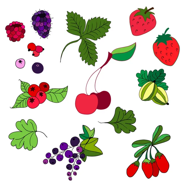 Set of colored berries. Strawberries , gooseberries , currants . — Stock Vector