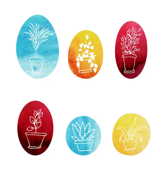 Set van water kleur kamerplanten. Vector iconen — Stockvector